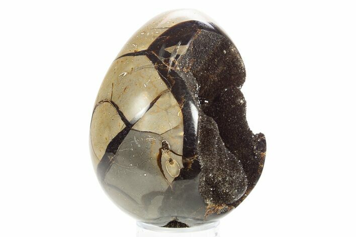 Septarian Dragon Egg Geode - Sparkly Black Crystals #329492